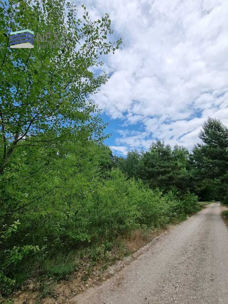 Działka leśna z prawem budowy na sprzedaż Powązki, Przytulna  3 624m2 Foto 9