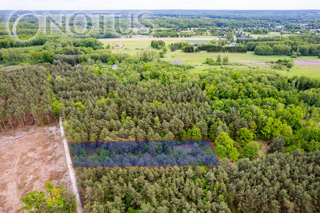 Na sprzedaż działka budowlana 4297 m² przy lesie w Radziejowicach Radziejowice, Do Lasu  4 297m2 Foto 1