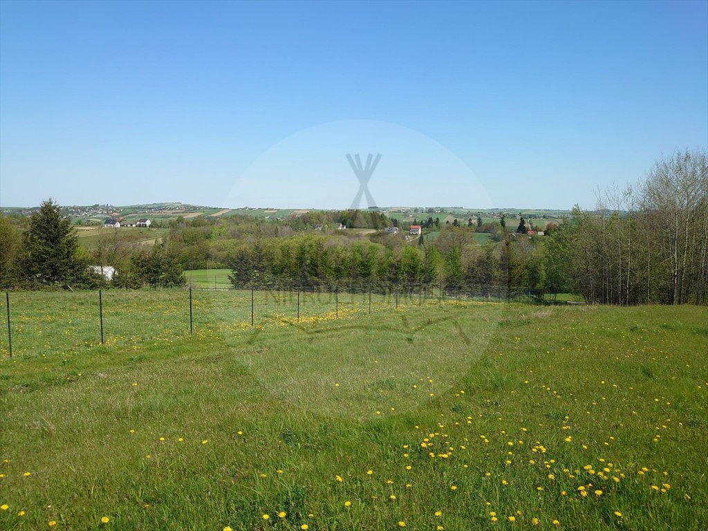 Działka inna na sprzedaż Koniuszowa  1 800m2 Foto 3