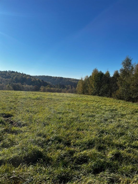 Urokliwa działka budowlana 6447 m² z lasem i dojazdem asfaltowym Dynów (gw)  6 447m2 Foto 1