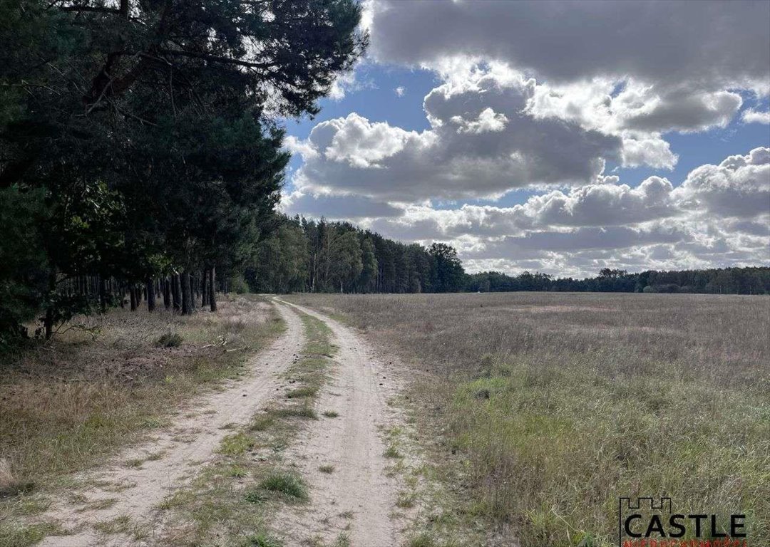 Działka budowlana na sprzedaż Trzciel  1 001m2 Foto 6