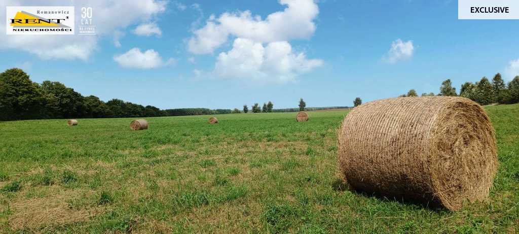 Działka budowlana na sprzedaż Wapnica  3 009m2 Foto 6