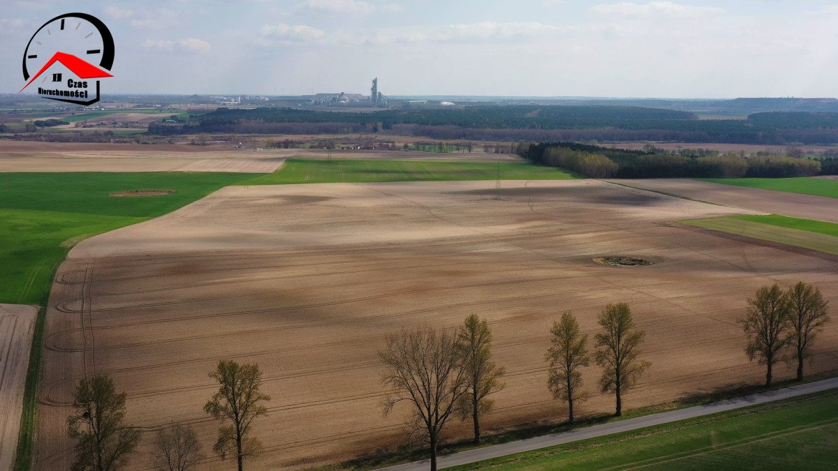 Działka gospodarstwo rolne na sprzedaż Barcin-Wieś  19 500m2 Foto 1