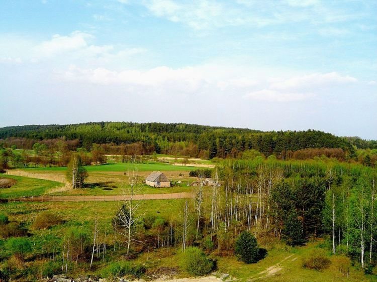 Działka budowlana na sprzedaż Szramowo  3 000m2 Foto 1