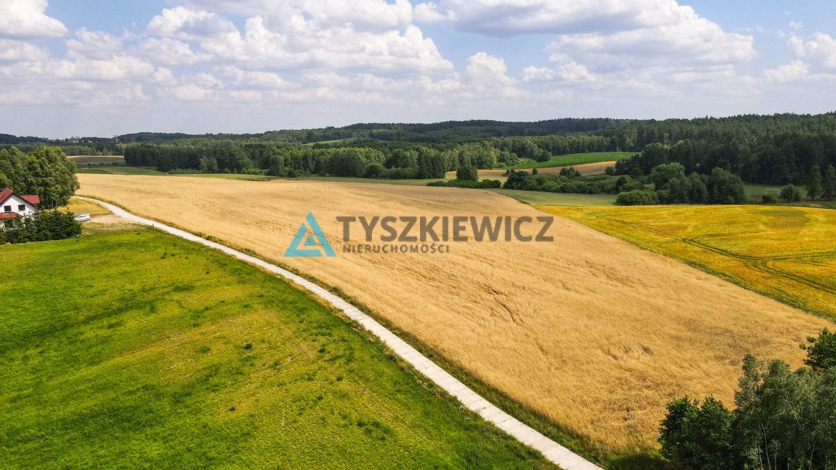 Działka rolna na sprzedaż Szczodrowo  38 300m2 Foto 10