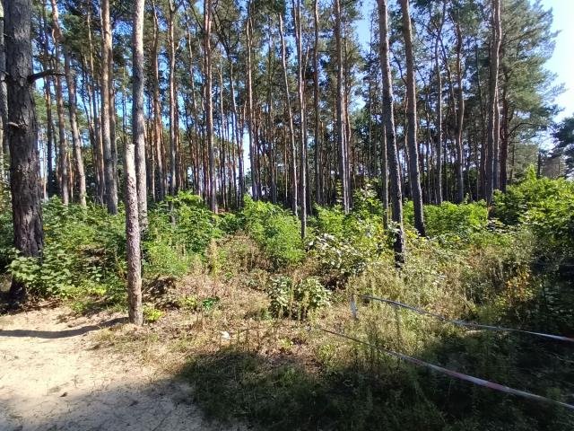 Działka leśna na sprzedaż Legionowo  1 500m2 Foto 3