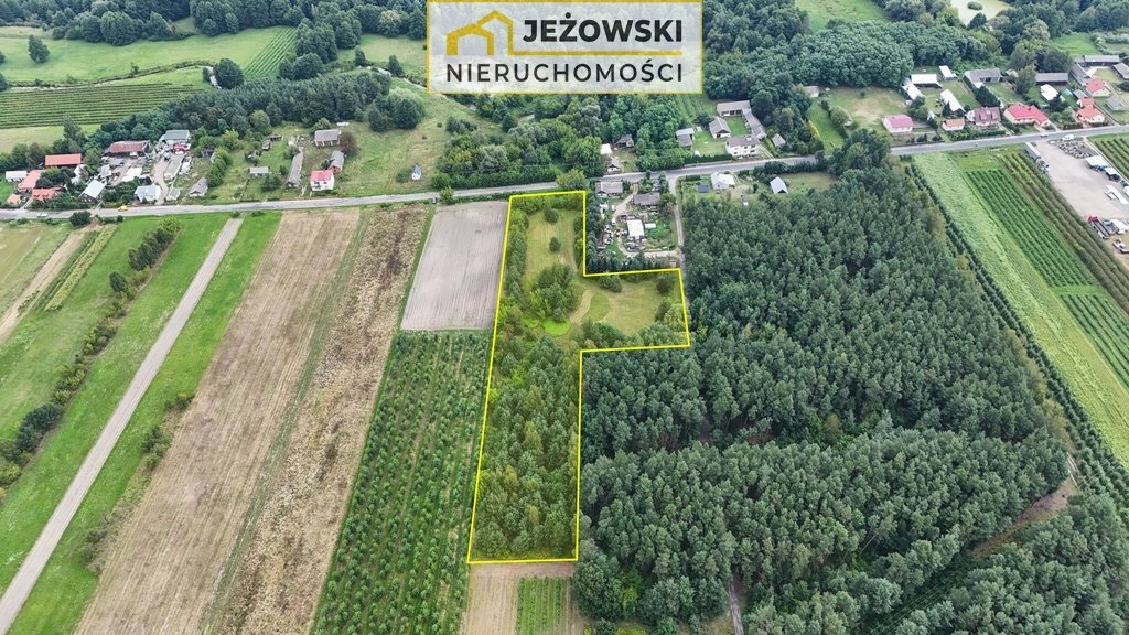 Działka budowlana na sprzedaż Mazanów  11 027m2 Foto 8