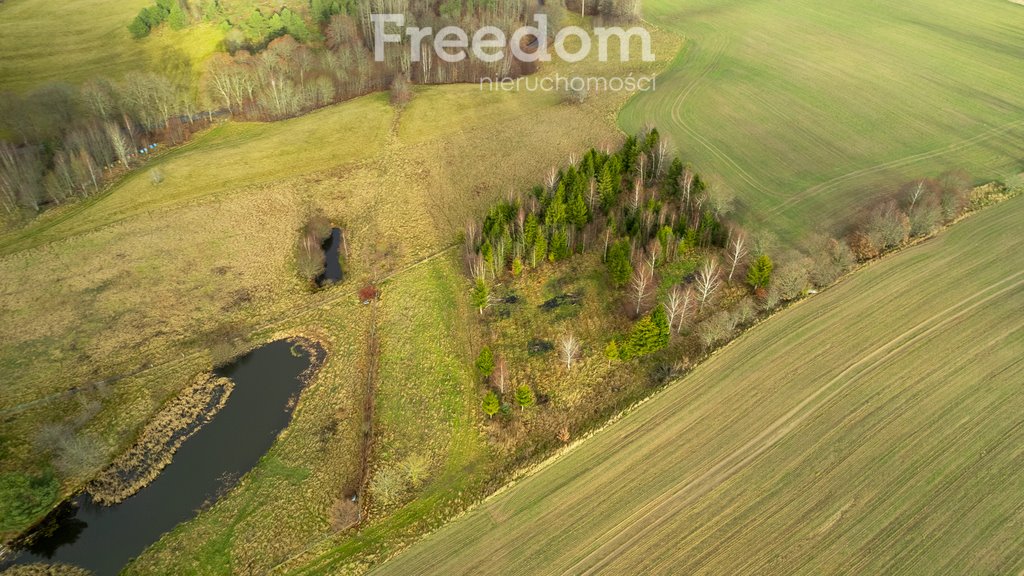 Działka budowlana na sprzedaż Klonowo Górne, Świerkowa  3 987m2 Foto 7