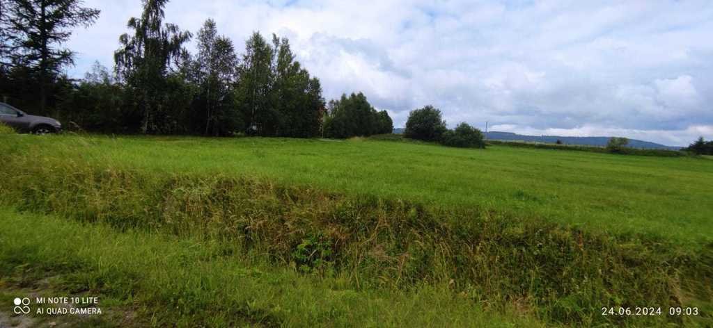 Działka budowlana na sprzedaż Długopole Górne  3 300m2 Foto 7