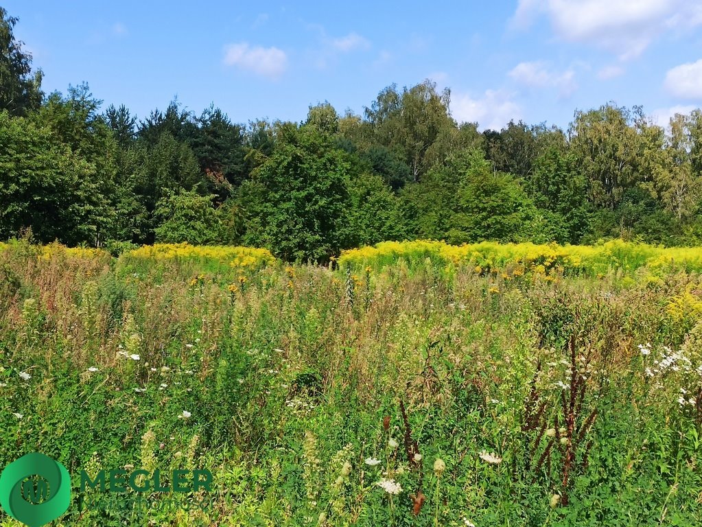 Działka budowlana na sprzedaż Granica  900m2 Foto 1