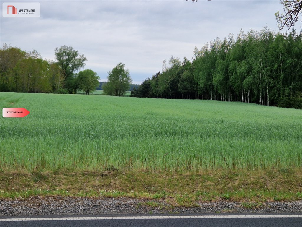 Działki budowlane 1000m² z mediami, blisko jezior i S5 Kołdrąb  1 000m2 Foto 1