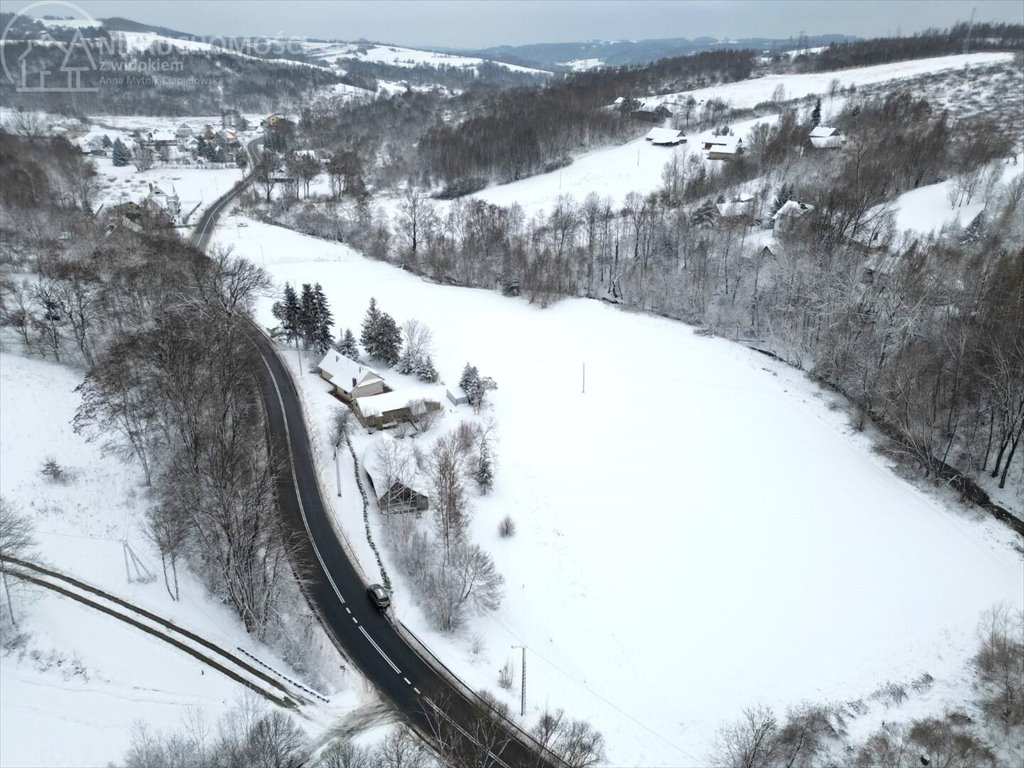 Działka rolna na sprzedaż Rzepiennik Marciszewski  15 000m2 Foto 12