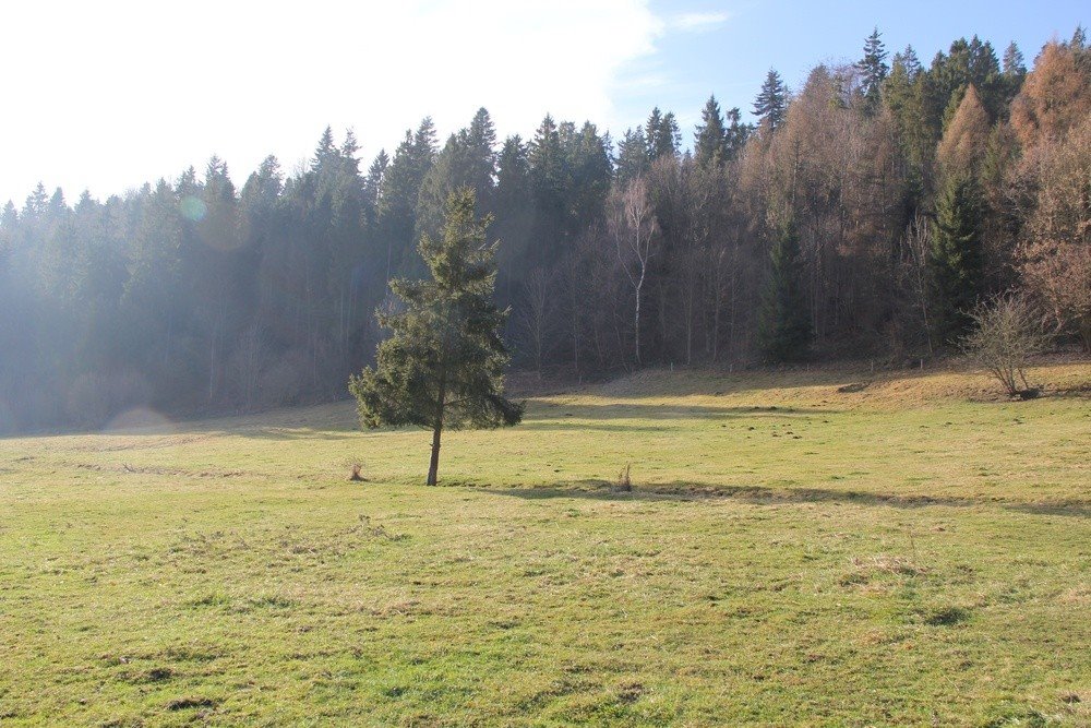 Działka 6 161 m² z widokiem na Pieniny i Trzy Korony Nowotarski, Szkolna  6 161m2 Foto 1