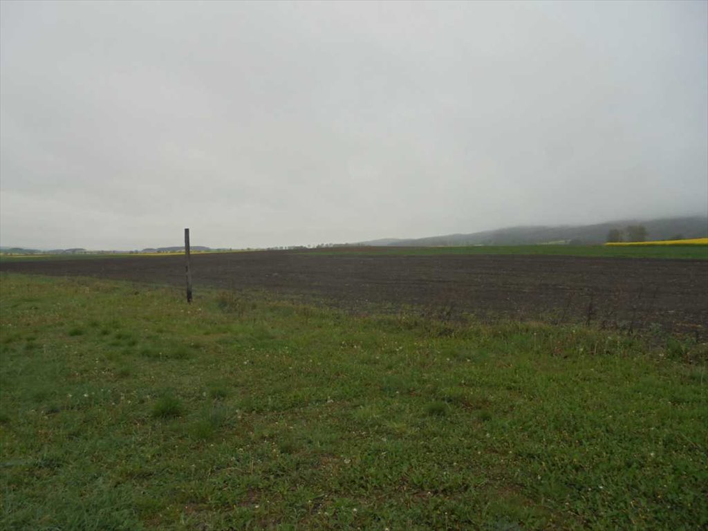 Działka inna na sprzedaż Dzierżoniów, Tuszyn  4 000m2 Foto 2