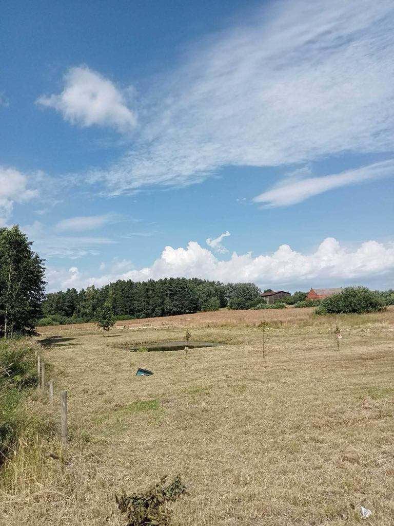 Działka budowlana na sprzedaż Sztum, Sztumskie Pole  2 638m2 Foto 4