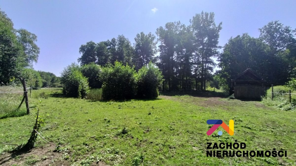 Działka 9646 m² z stawem, lasem i mediami, blisko Zielonej Góry Zielona Góra, Barcikowiczki  9 646m2 Foto 1