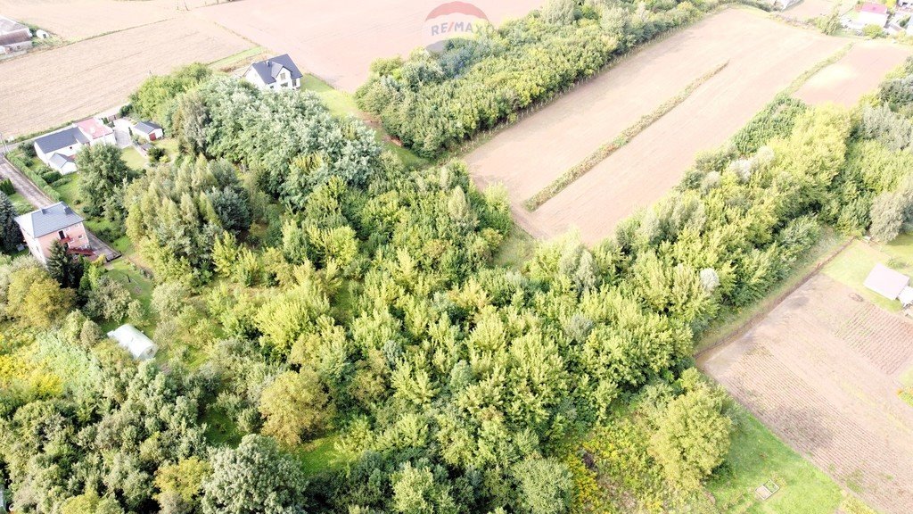 Działka budowlana na sprzedaż Ostrowiec Świętokrzyski, Józefówka  1 990m2 Foto 4