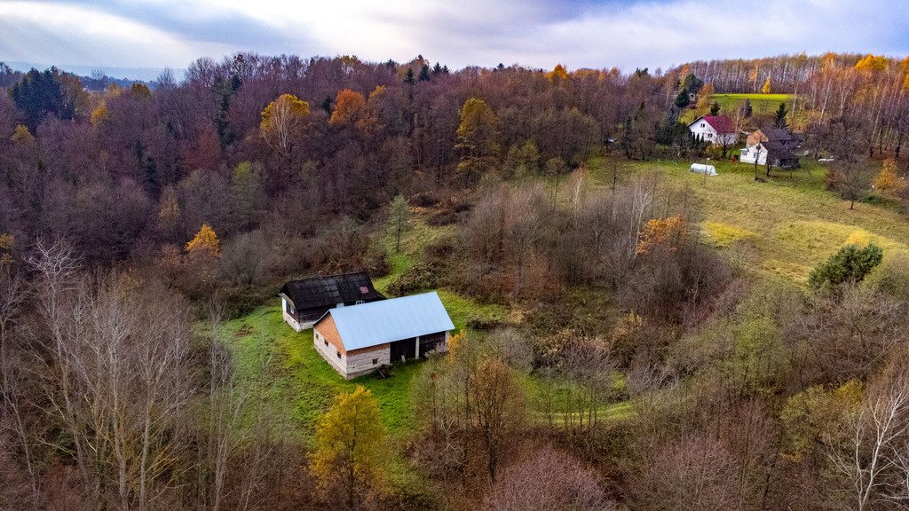 Dom na sprzedaż Borówki  80m2 Foto 1