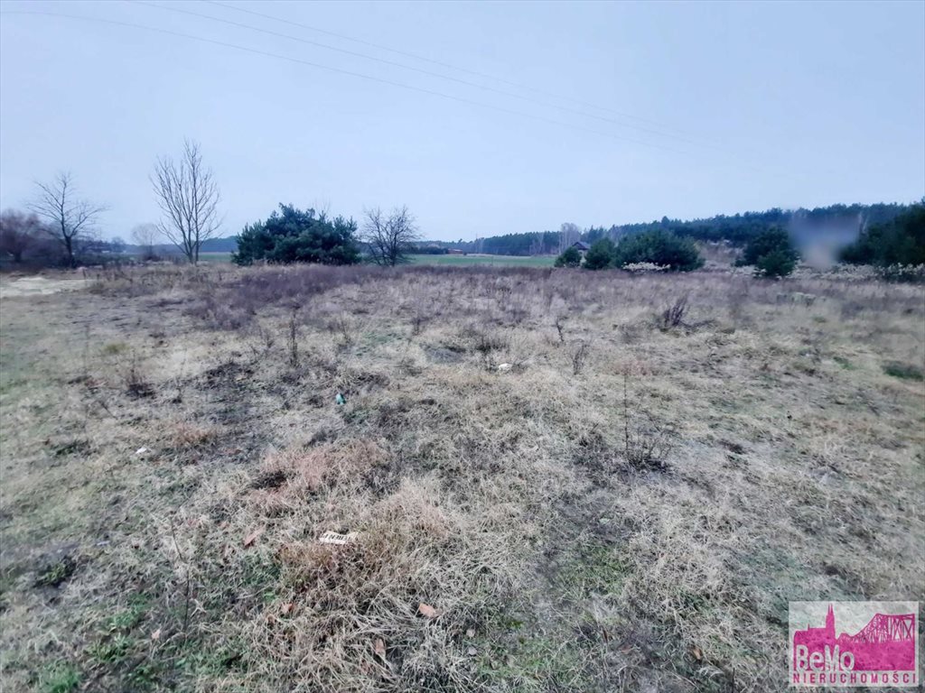 Działka 2000 m2 w spokojnej okolicy, las, media, potencjał Wilczeniec Bogucki  2 000m2 Foto 1