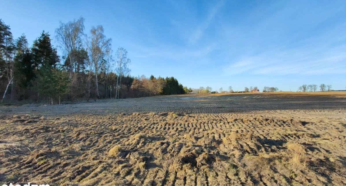 Działka budowlana na sprzedaż Gołębiewo Wielkie, Gołębiewo Wielkie  1 000m2 Foto 3