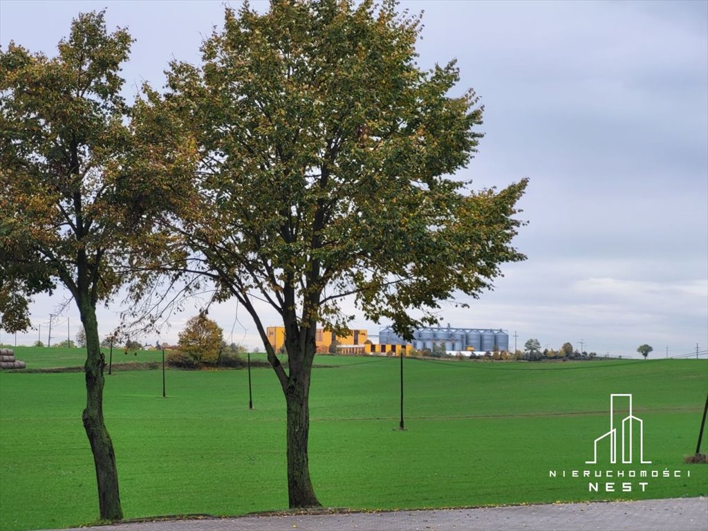 Działka przemysłowo-handlowa na sprzedaż Sękowo, Sękowo działka AG  40 000m2 Foto 2