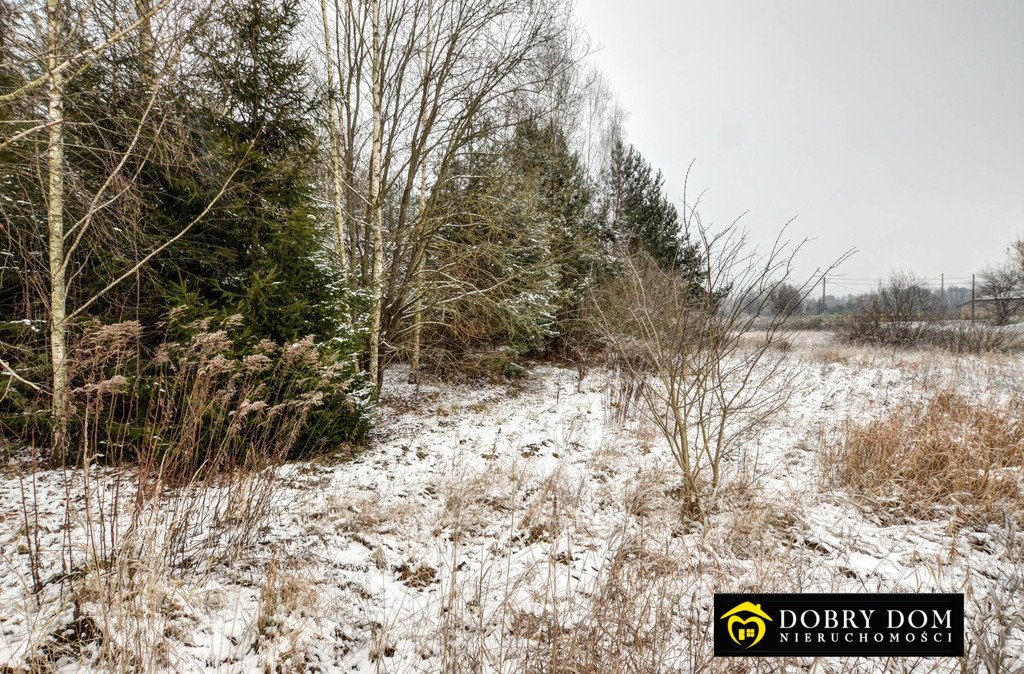 Działka inna na sprzedaż Czarna Wieś Kościelna  3 110m2 Foto 3