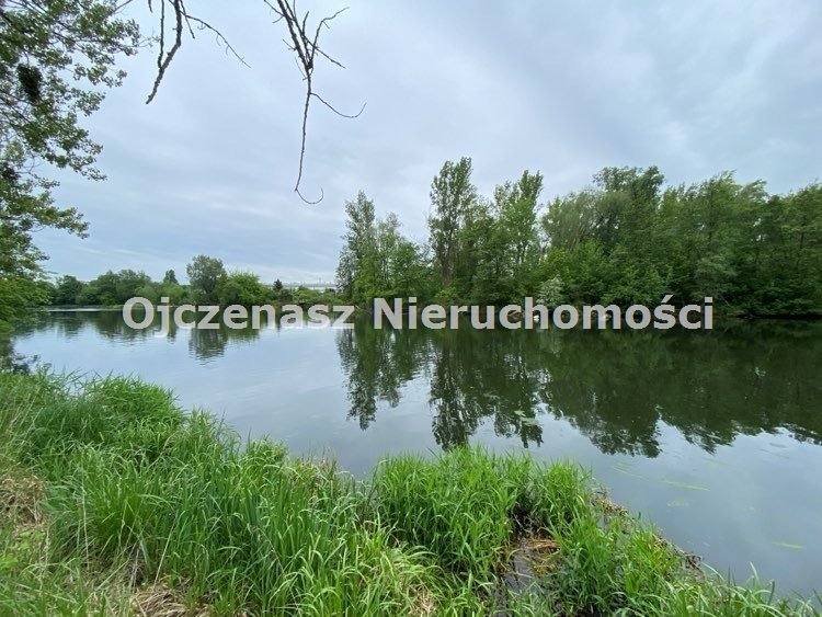 Unikalna działka siedliskowa 10 120 m² w malowniczej okolicy Tryszczyn  10 120m2 Foto 1