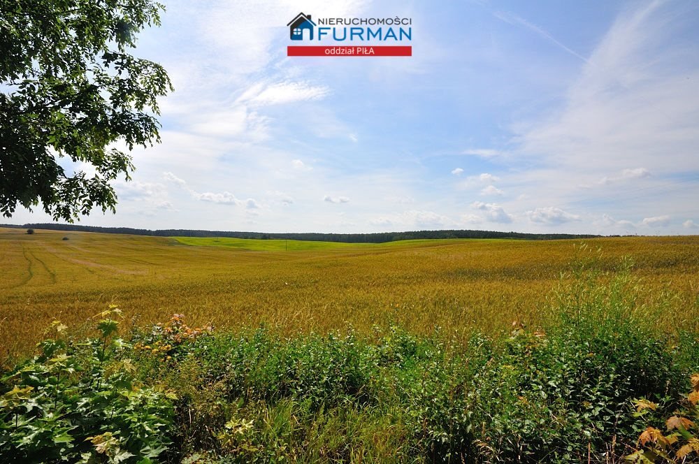 Malownicza działka 4,84 ha z pozwoleniem na budowę Zawada  48 416m2 Foto 1