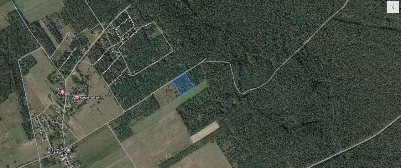 Działka rolna na sprzedaż Faryny  11 000m2 Foto 8