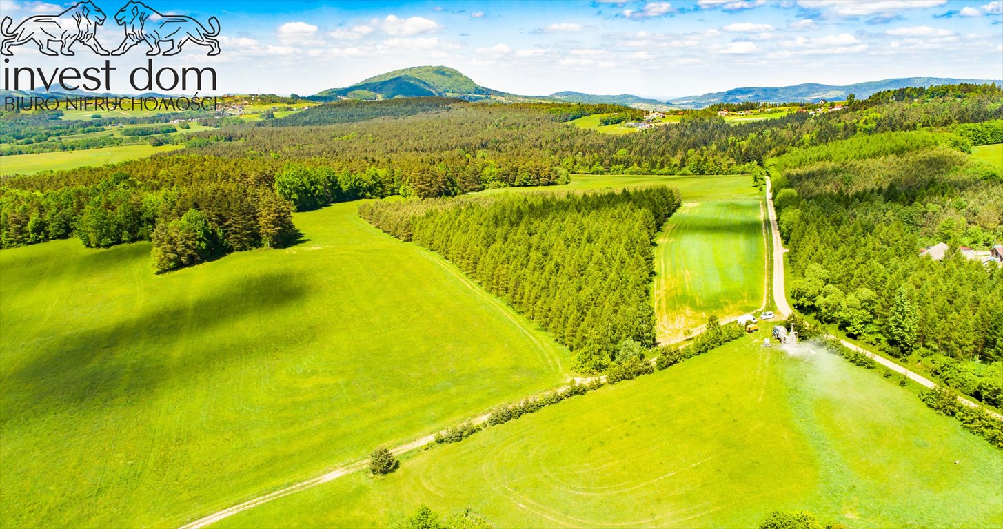 Działka leśna na sprzedaż Brunary  30 301m2 Foto 15