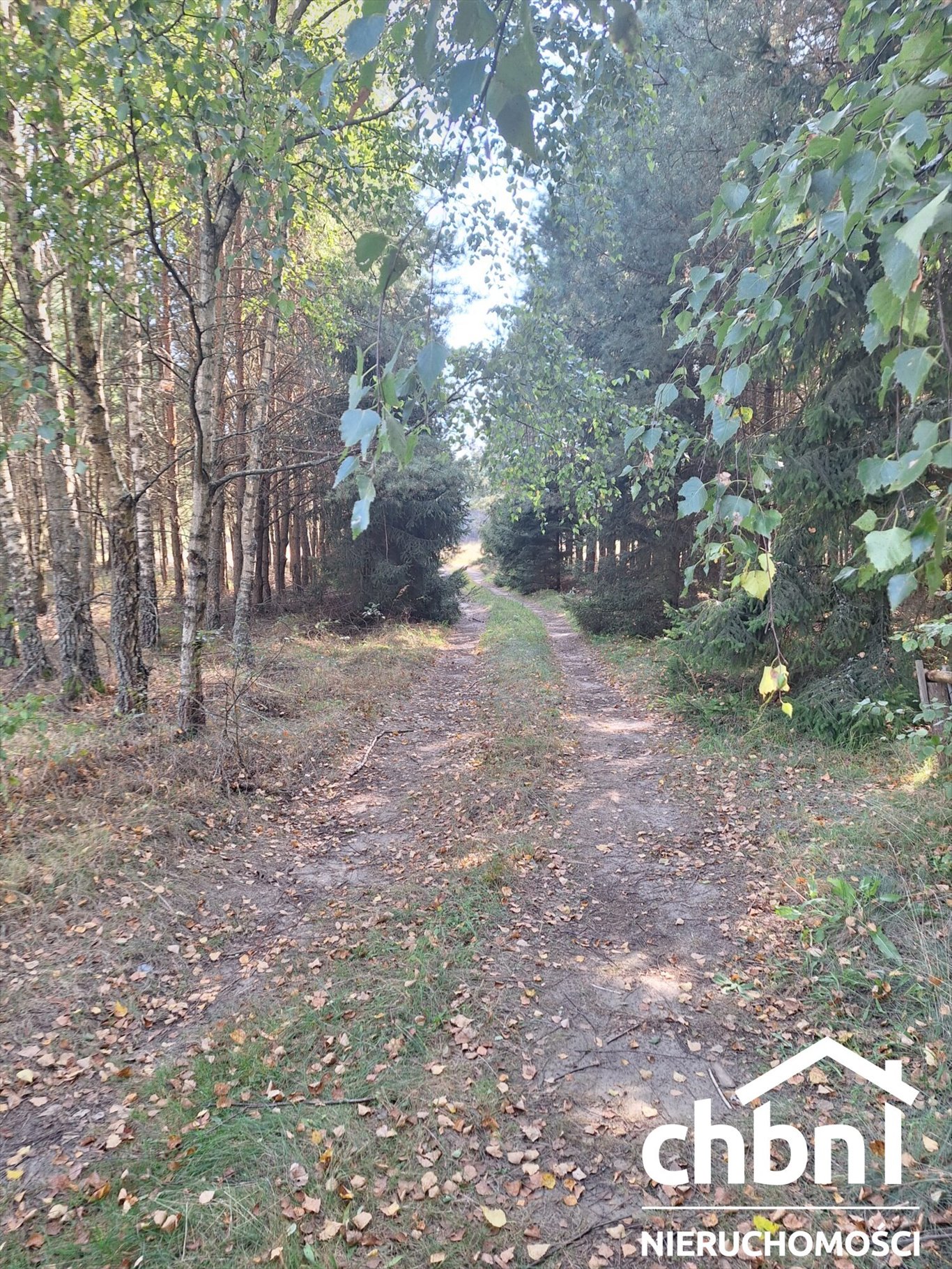 Działka rolna na sprzedaż Konarzyny, Kiełpin  33 800m2 Foto 8