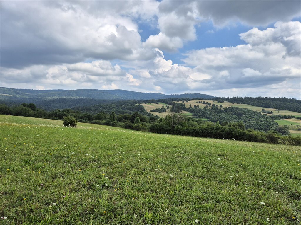 Działka rolna na sprzedaż Posada Jaśliska  9 300m2 Foto 8