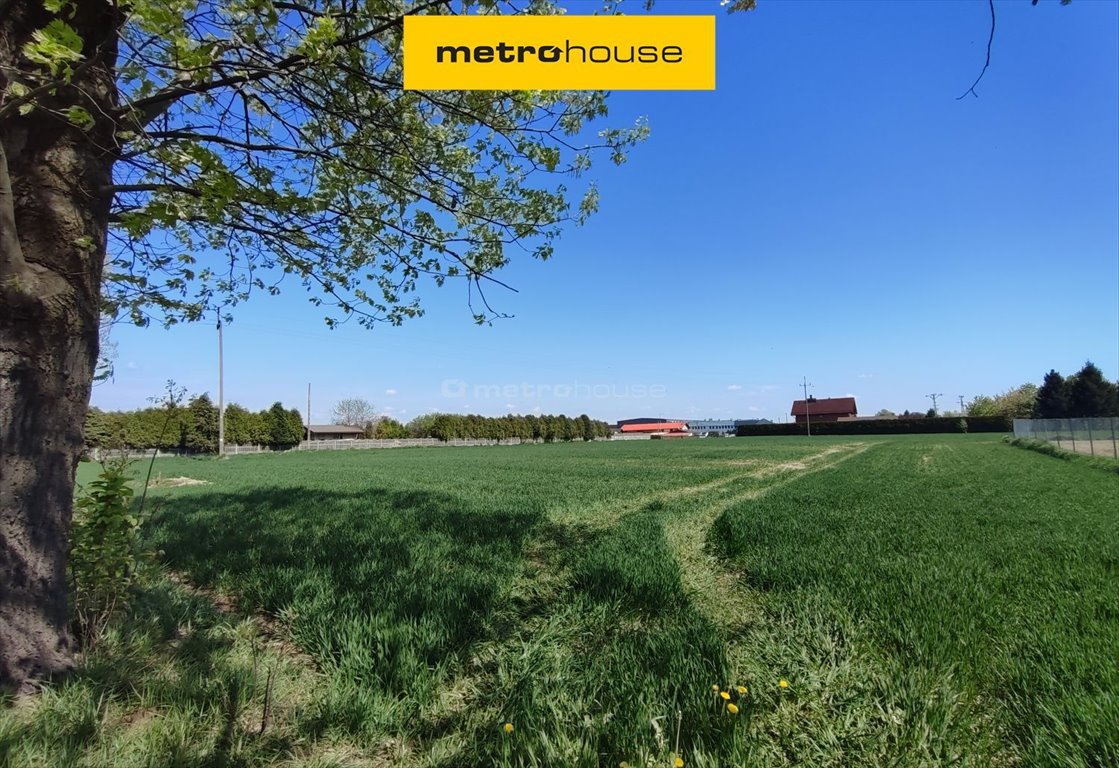 Rozległa działka pod dom i rekreację, 4090 m², media Gogołowa, Jastrzębska  4 090m2 Foto 1