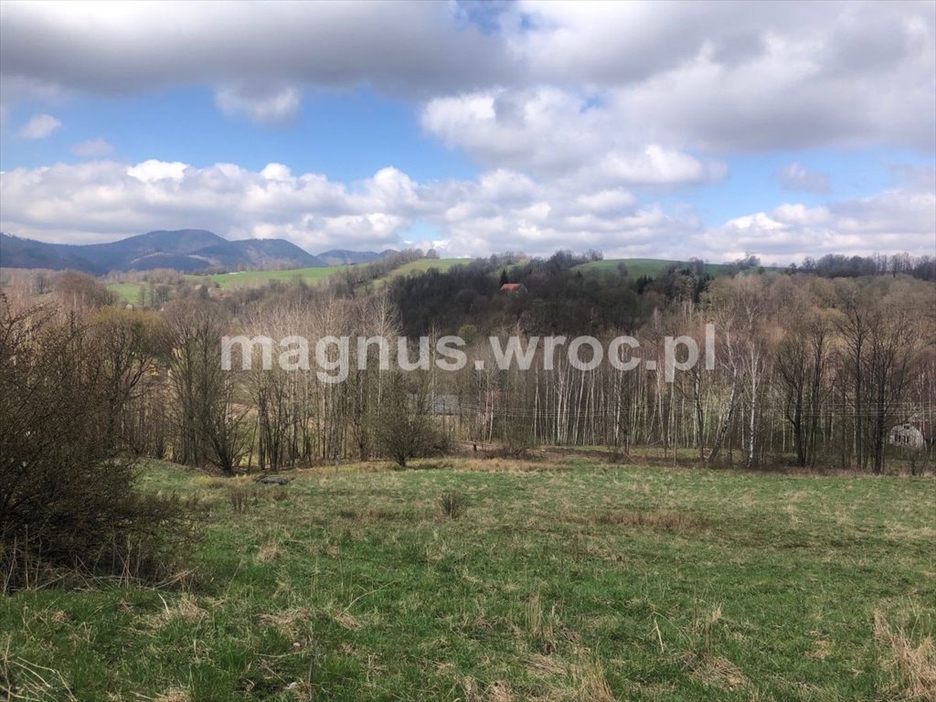 Działka rolna na sprzedaż Olszyniec, okolice Kolejowej  6 939m2 Foto 1