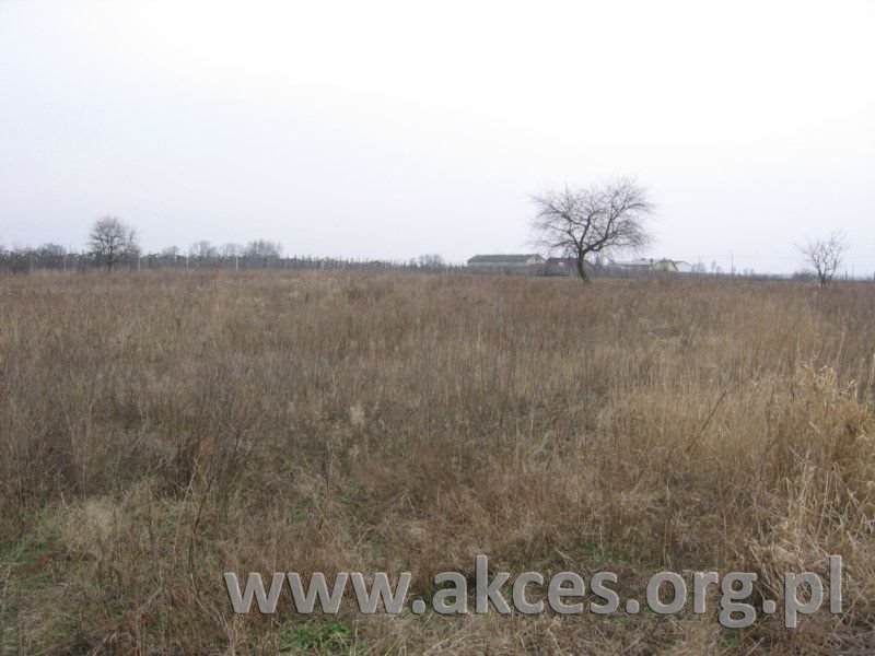 Działka budowlana na sprzedaż Stachowo  990m2 Foto 1