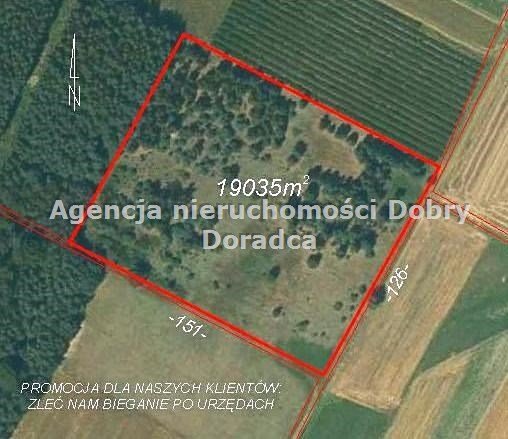 Działka inna na sprzedaż Piekarowo  19 035m2 Foto 1