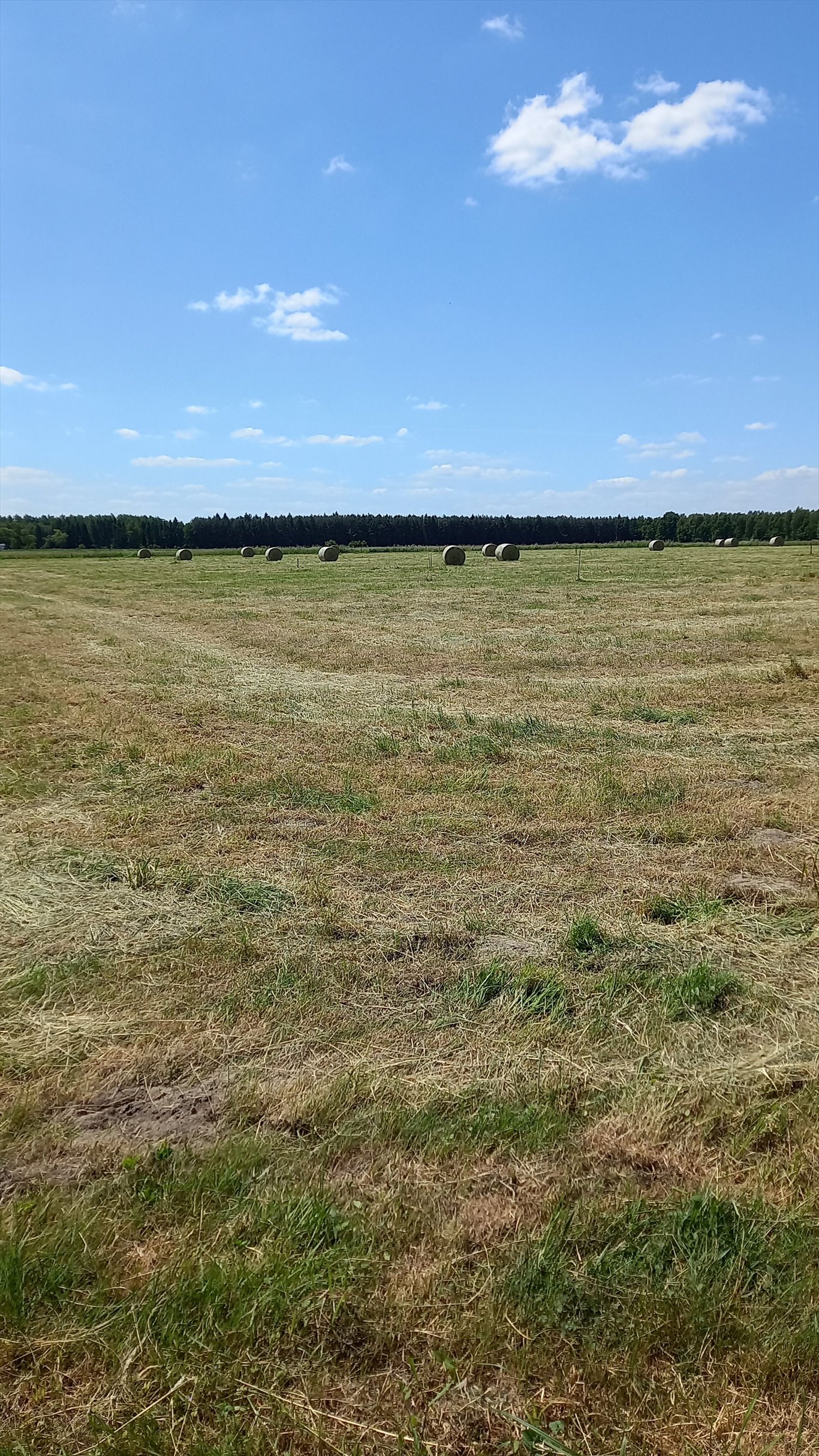 Działka budowlana na sprzedaż Rudziniec  860m2 Foto 4