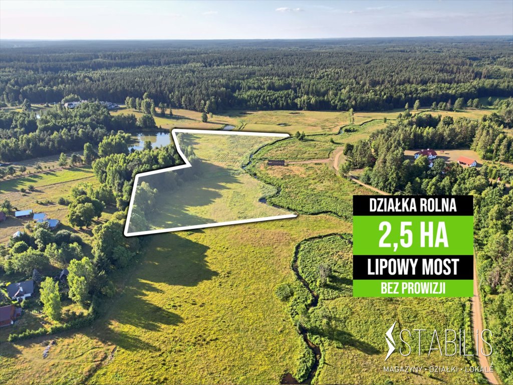 Działka rolna na sprzedaż Lipowy Most  25 017m2 Foto 1
