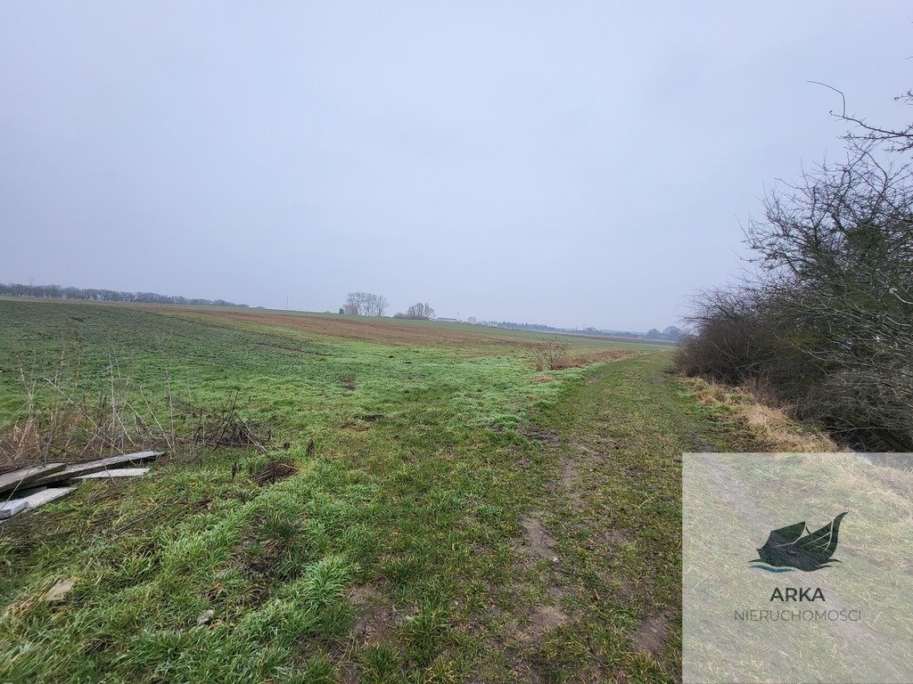 Zapraszam do zakupu działek 3 000 m² w Warzymicach Warzymice  3 000m2 Foto 1