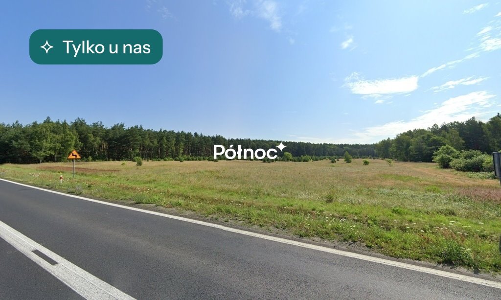 Działka inwestycyjna 2,8 ha przy DK297 – idealna pod logistykę Kozłów  28 061m2 Foto 1