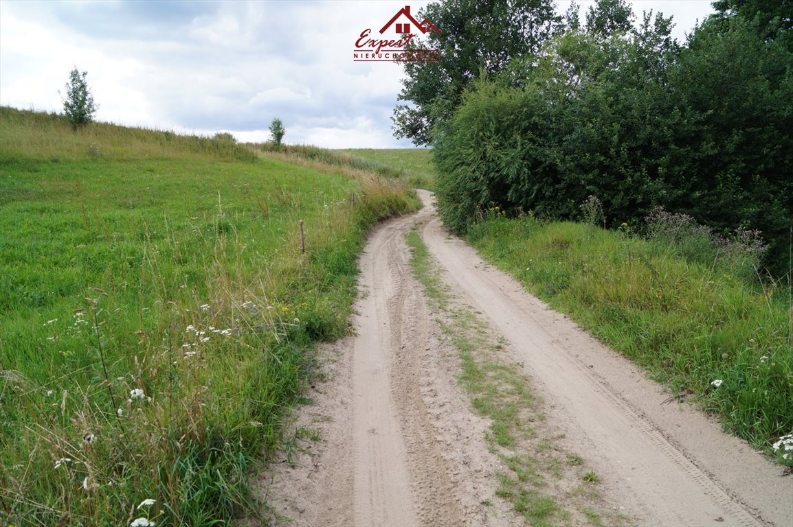 Działka rolna na sprzedaż Tchórzanka  58 000m2 Foto 8