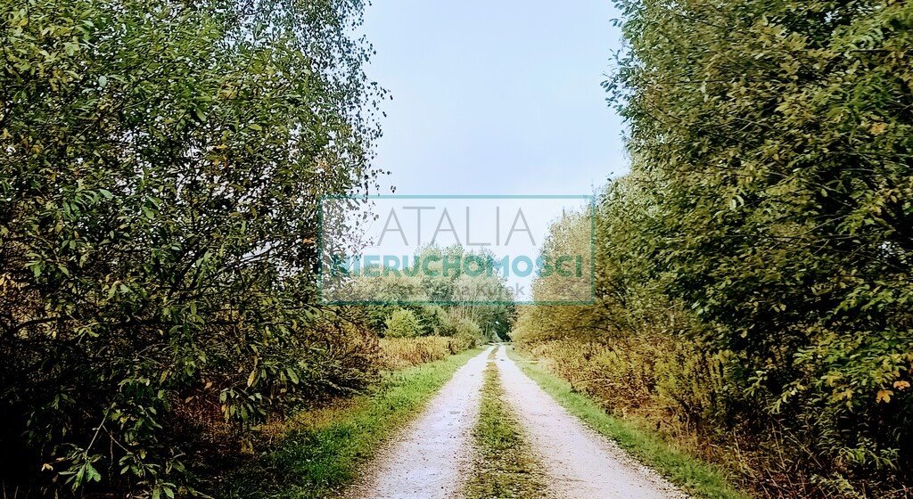 Polecam działkę 17 000 m² z lasem, szybki dojazd do S8 Nowa Bukówka  17 000m2 Foto 1