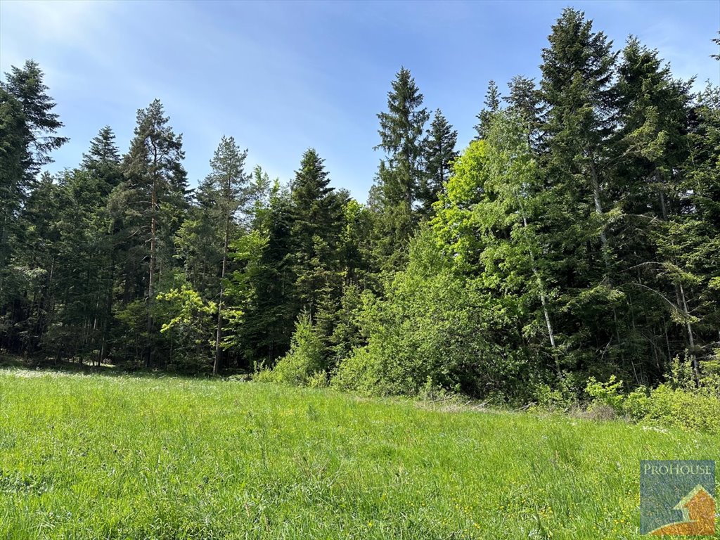 Działka leśna na sprzedaż Podłopień  5 200m2 Foto 2