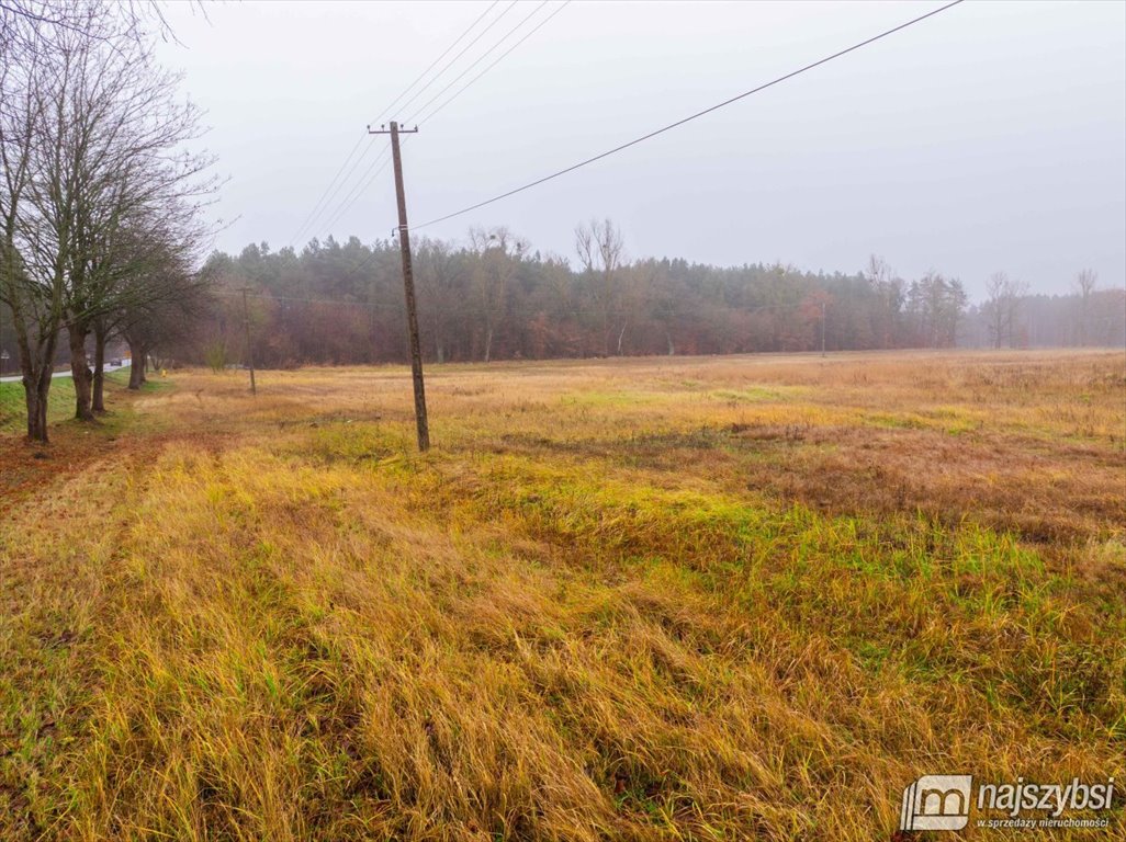 Działka inna na sprzedaż Nowogard, obrzeża  8 137m2 Foto 12