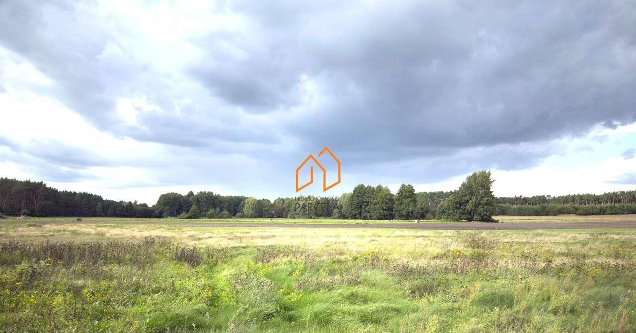 Działka 15 506 m² z warunkami zabudowy, cicha okolica Lubonieczek  15 506m2 Foto 1