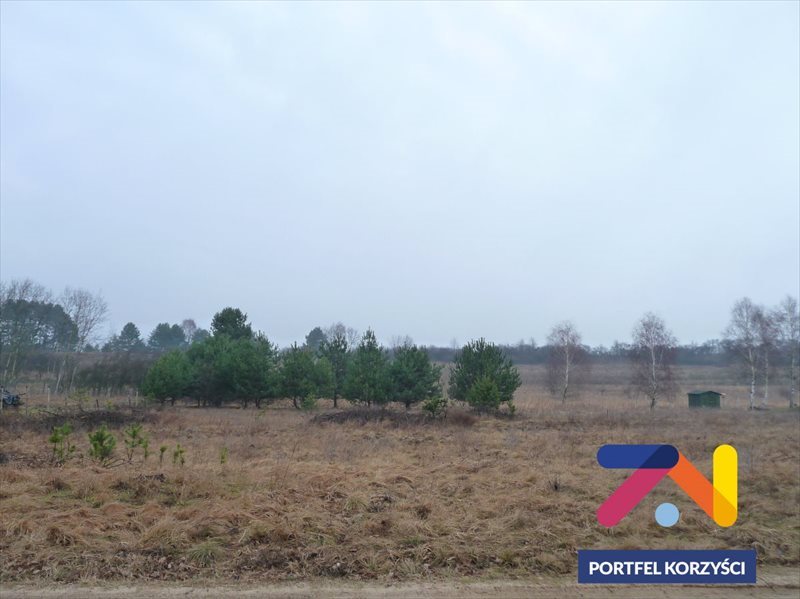 Działka budowlana na sprzedaż Przytok 1 800m2 Foto 1 Działka budowlana na sprzedaż Przytok 1 800m2 Foto 1
