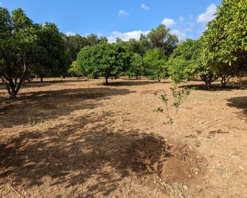 Działka budowlana na sprzedaż Hiszpania, Denia, Hiszpania, Sportcentrum  2 000m2 Foto 1