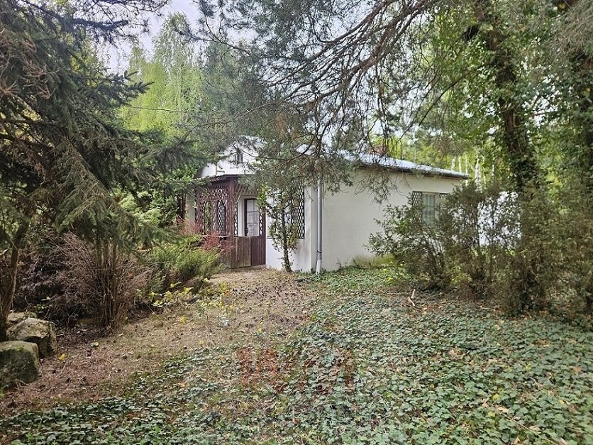 Duża działka 8268 m² z letniskowym domem - zapraszam Grabów Nad Pilicą  8 268m2 Foto 1