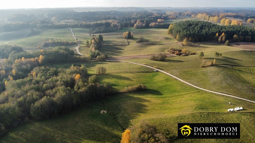 Działka rolna na sprzedaż Przerośl  43 316m2 Foto 3