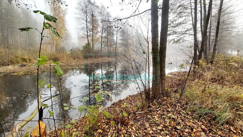 Działka budowlana na sprzedaż Janinów  21 811m2 Foto 5